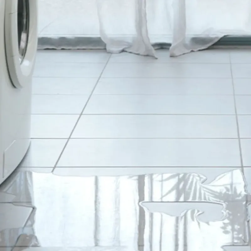 Appliance Leak Cleanup in Rice, MN
