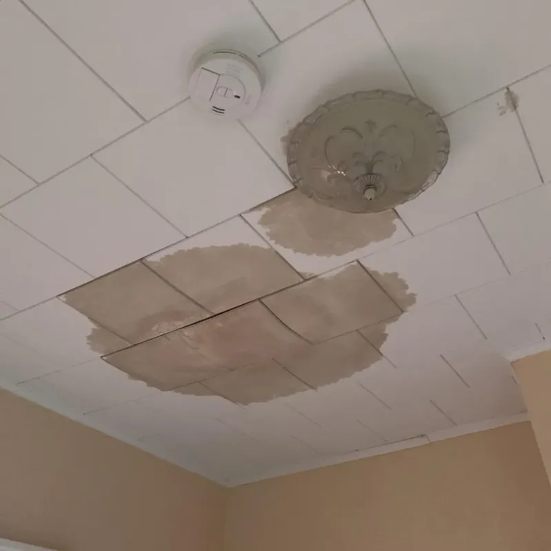 Ceiling Water Damage Repair in Rice, MN