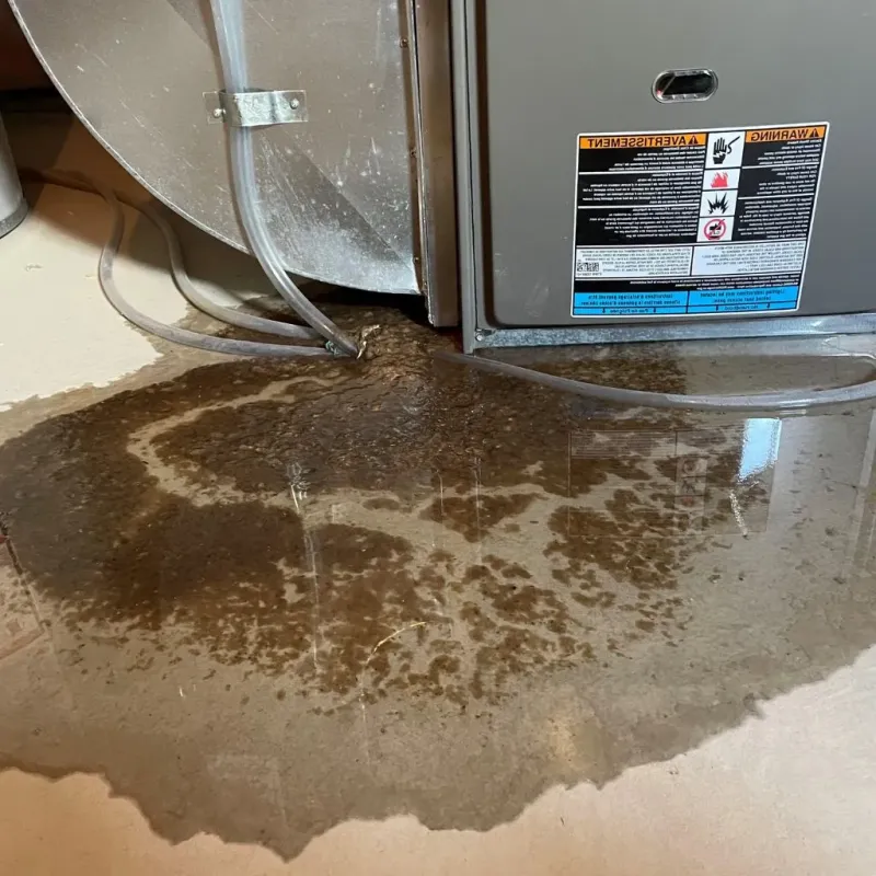 Pipe Burst and Leak Restoration in Rice, MN