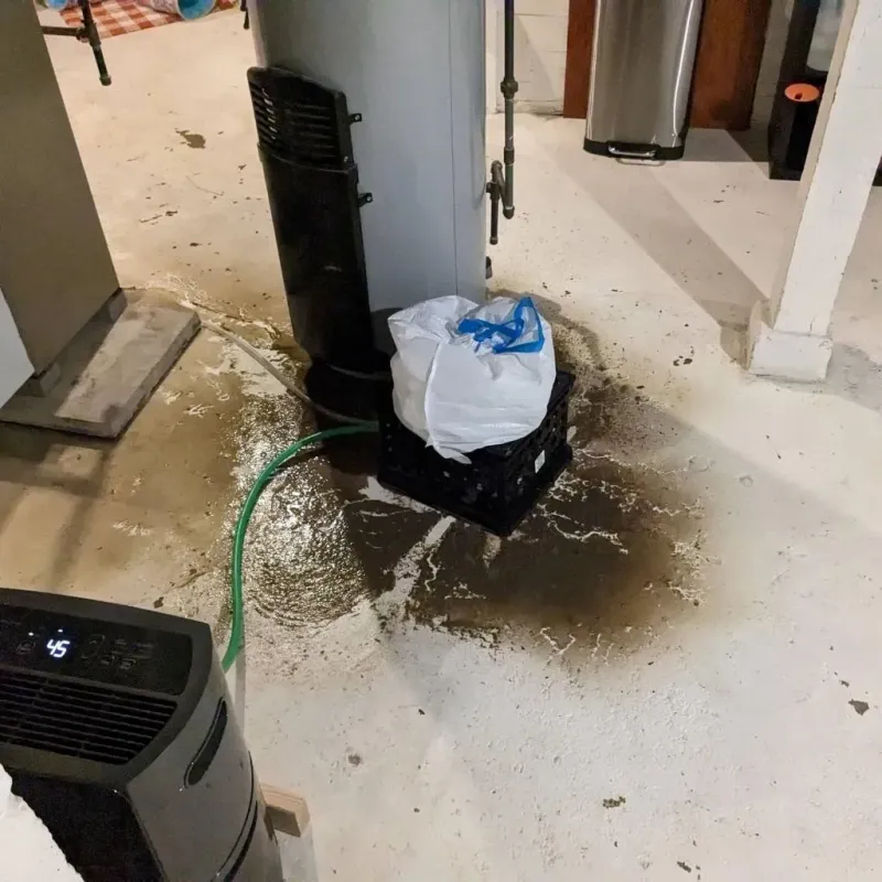 Sewage Backup Cleanup Service in Rice, MN